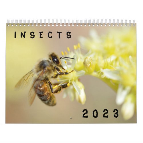 Various insects calendar