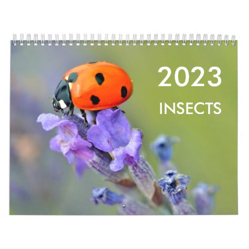 Various insects for calendar of 2023
