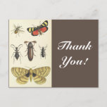 [ Thumbnail: Various Insects + "Thank You!", Vintage Look Postcard ]