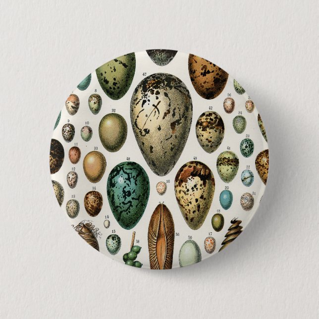 Various kinds of Egg Scientific Illustration Button (Front)