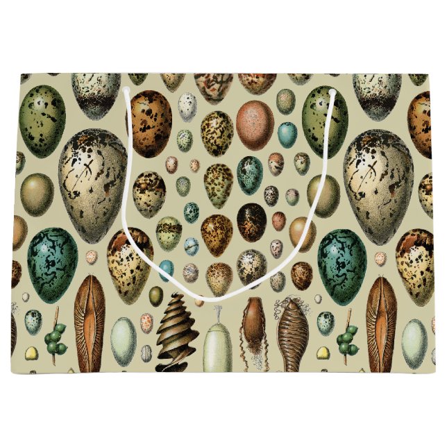 Various kinds of Egg Scientific Illustration Large Gift Bag (Front)