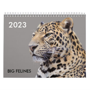Various large cat-like calendar