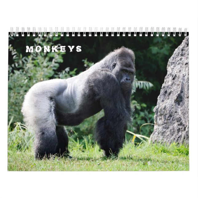 Various monkeys calendar (Cover)