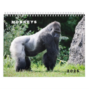 Various monkeys calendar