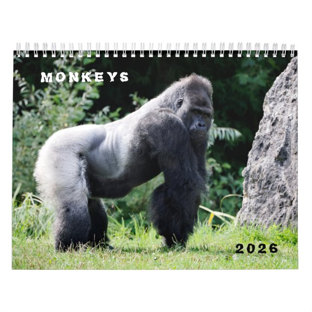 Various monkeys calendar (Cover)