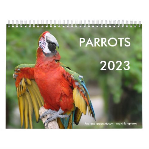 Various parrots calendar