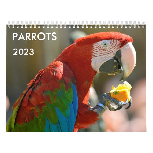 Various parrots calendar