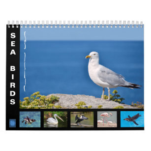 Various sea birds 12 month calendar