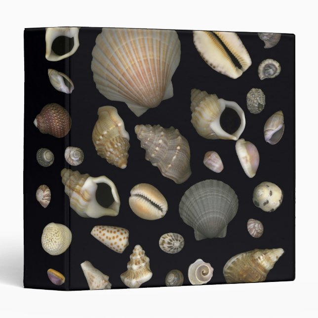 Various sea shells 3 ring binder (Front/Spine)