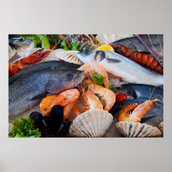 Various Seafood Poster by Amazing_Posters at Zazzle