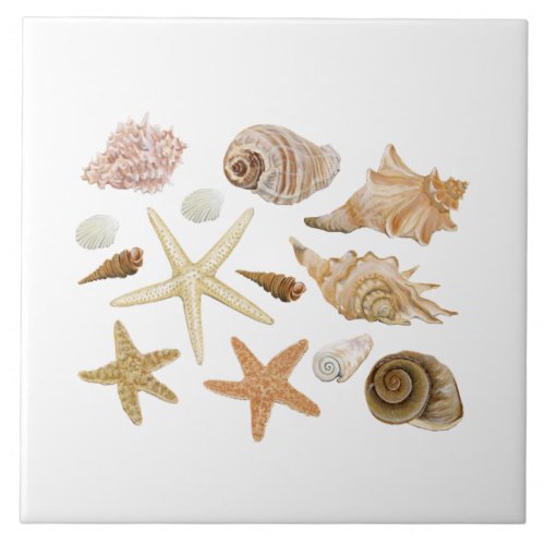 Various seashells starfish ceramic tile