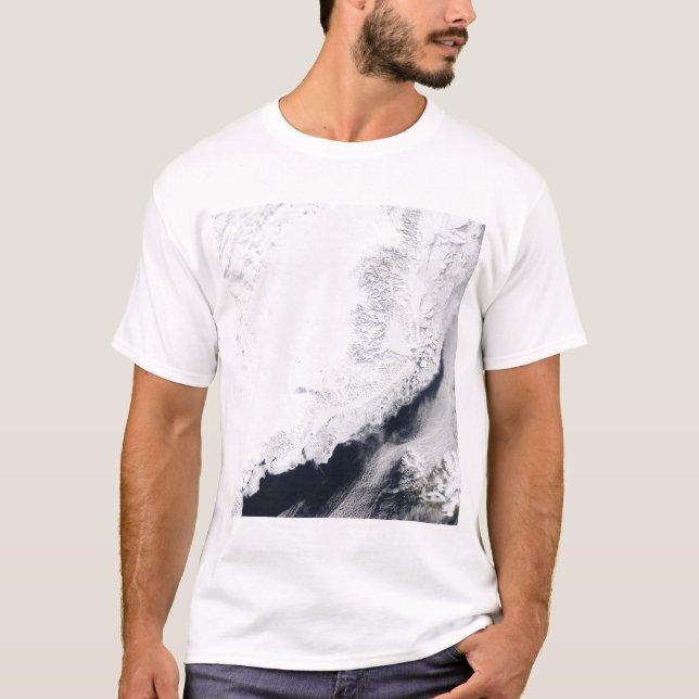 Various types of sea ice T-Shirt (Front)
