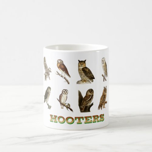 Various Vintage Owl Illustration Coffee Mug