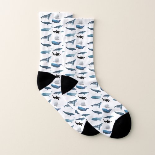 Various Whales Socks
