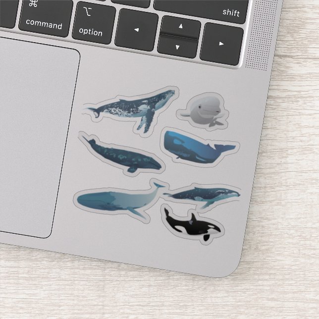 Various Whales Sticker (Detail)