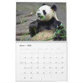 Varous giant pandas and red pandas calendar (Mar 2025)
