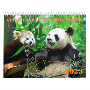Varous giant pandas and red pandas calendar