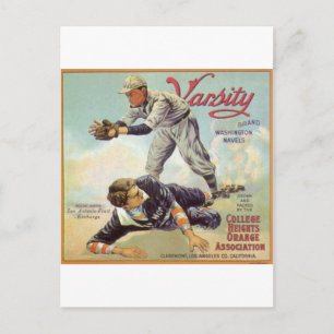 varsity baseball postcard
