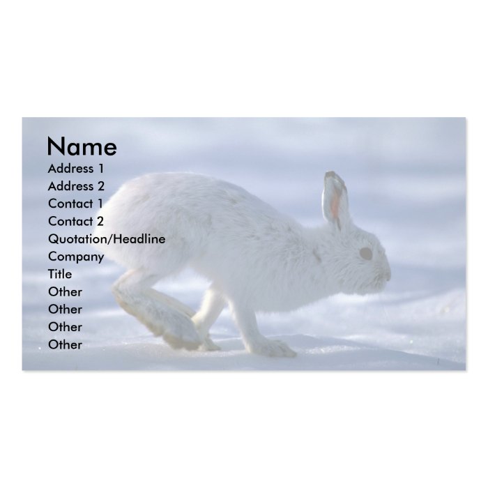 Varying Hare/Snowshoe Rabbit running across open s Business Card Template