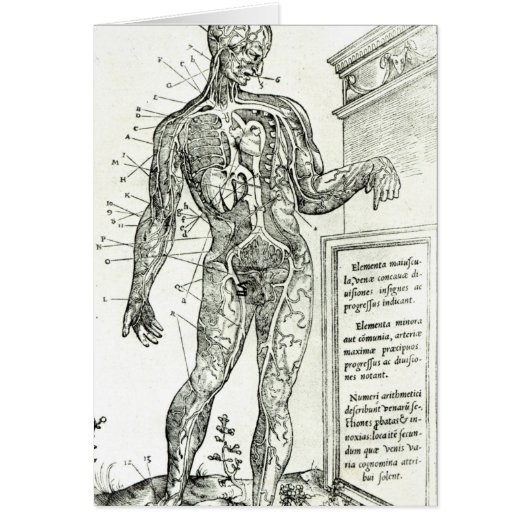 Vascular System according to Charles Etienne (Front)