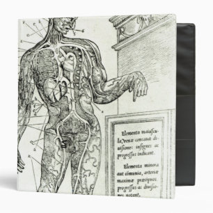 Vascular System according to Charles Etienne Binder