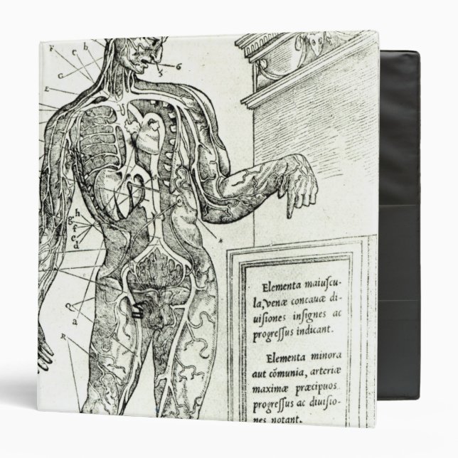 Vascular System according to Charles Etienne Binder (Front/Inside)