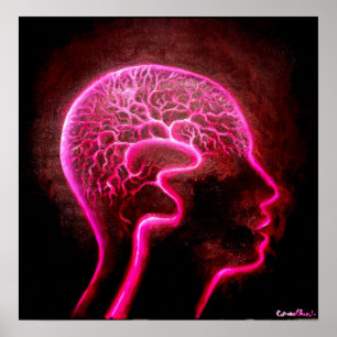 Vascularisation of the human brain poster