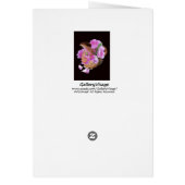 Vase and Flowers Cards (Back)