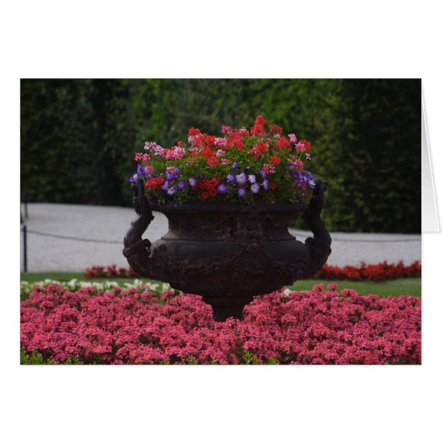 vase with flowers cards (Front Horizontal)