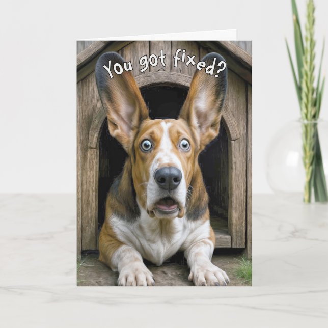 Vasectomy Basset Hound Dog Surprise Card (Front)