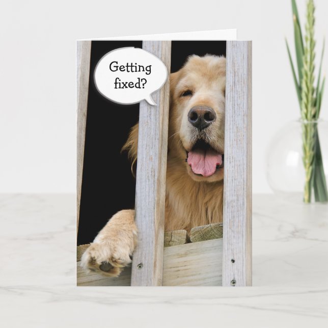 Vasectomy Humor Card (Front)