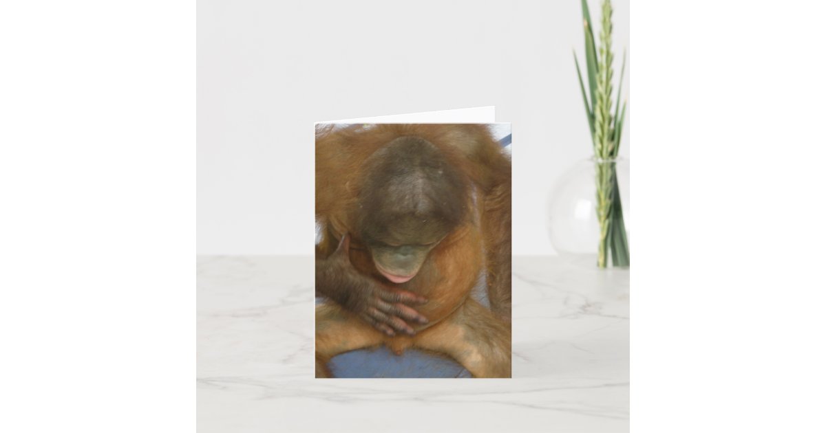 Thesis on vasectomy 04 picture