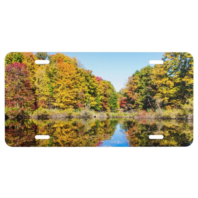 Vassar Farms Pond License Plate (Front)
