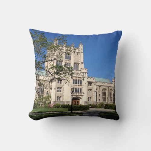 Vassar Library Pillow