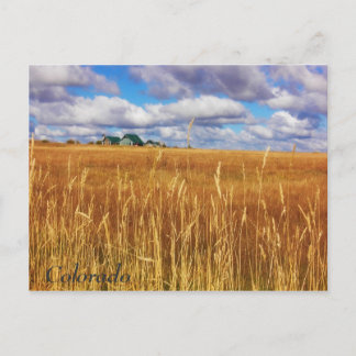 Vast Colorado Postcard