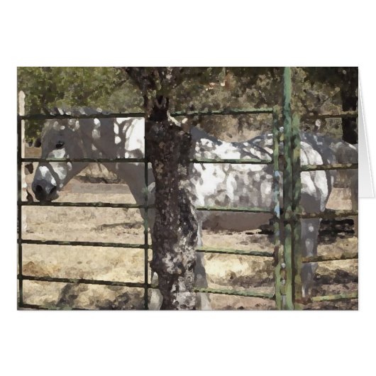 "Vato" Arabian Horse (Front Horizontal)