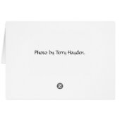 VCC with autumn oak leaves (Back Horizontal)