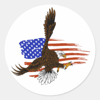 Vector vector american eagle against usa flag classic round sticker
