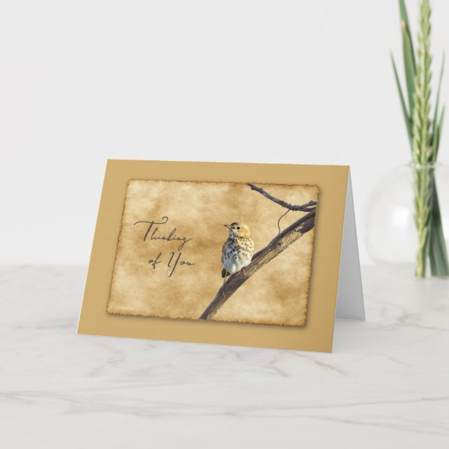 Veery on Branch - Thinking of You Card (Front)