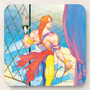 Vega After Fight Coaster