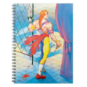 Vega After Fight Notebook