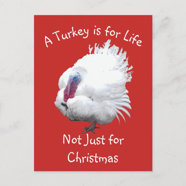 Vegan Christmas Turkey Postcard (Front)