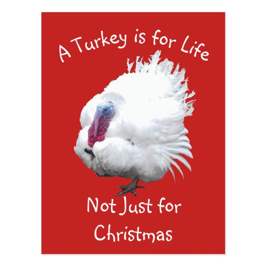 Vegan Christmas Turkey Postcard