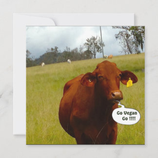 Vegan dinner party invitation