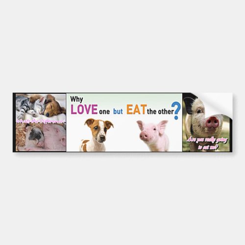 vegan factory farming bumper sticker