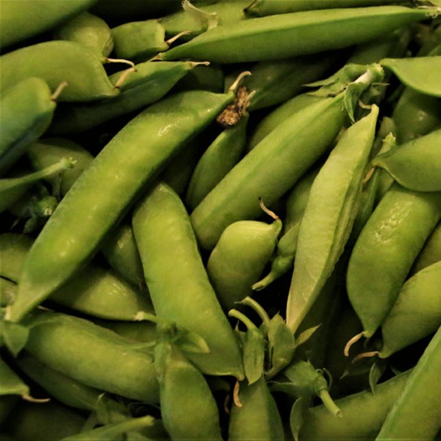 Vegan Garden Pea Puzzle (Creator Uploaded)