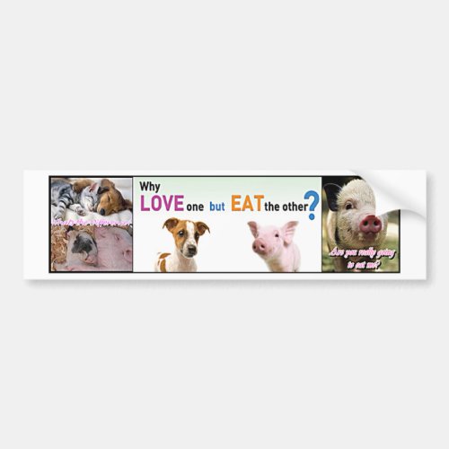Vegan Gear Whats the difference Bumper Sticker