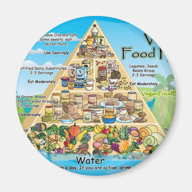 vegan-pyramid-800x600 magnet (Front)
