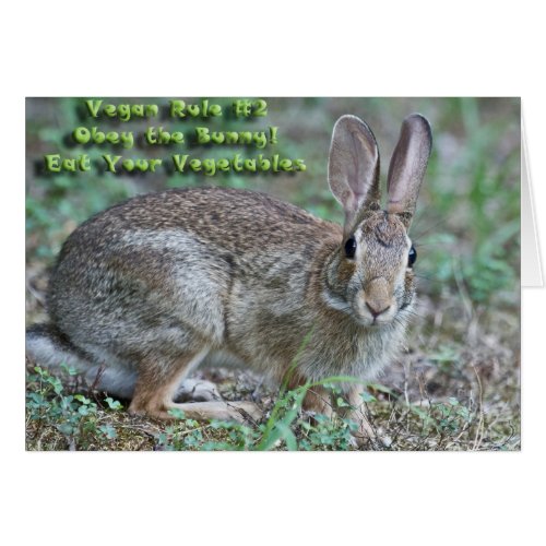 Vegan Rule 2 Obey the Bunny Gifts  Apparel