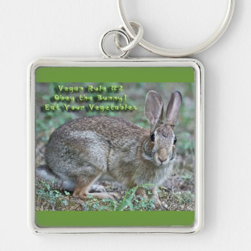 Vegan Rule 2 Obey the Bunny Gifts  Apparel Keychain